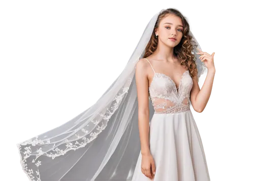 bridal clothing,wedding dresses,bridal party dress,wedding gown,quinceanera dresses,wedding dress train,overskirt,wedding dress,bridal dress,bridal veil,the angel with the veronica veil,hoopskirt,ball gown,blonde in wedding dress,evening dress,nightgown,strapless dress,gown,bridal,silver wedding,Illustration,Vector,Vector 17