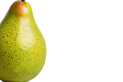 pear cognition,pear,banani,nepenthaceae,palta,ercilla,avacado,starfruit,bottle gourd,sporangium,avocado,asparagaceae,peary,alvorada,pears,lemon background,feijoa,banane,rock pear,banana plant,Conceptual Art,Daily,Daily 33