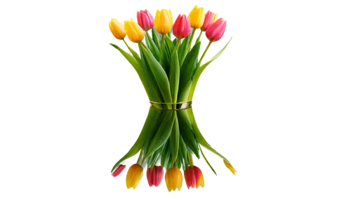 tulip background,flowers png,tulipa,tulip bouquet,tulip flowers,two tulips,yellow orange tulip,tulips,flower background,tulip blossom,tulipe,flower wallpaper,tulip,artificial flower,flower design,tulp,wild tulip,wild tulips,flame flower,orange tulips,Illustration,Vector,Vector 15