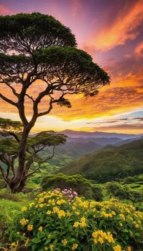 colorful tree of life,golden trumpet tree,dragon tree,flourishing tree,isolated tree,lone tree,tropical tree,tree of life,celtic tree,canarian dragon tree,blossom tree,the japanese tree,nature wallpaper,beautiful landscape,golden trumpet trees,nature landscape,flower tree,magic tree,natural scenery,beauty in nature,Photography,General,Realistic