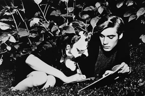 catherine deneuve,lurch,secret garden of venus,ervin hervé-lóránth,coil,transylvanian hound,feist,fryderyk chopin,fool cage,andy warhol,george paris,warhol,silent screen,david bowie,gardening,john lennon,the flute,hitchcock,the son of lilium persicum,bruno jura hound,Art,Artistic Painting,Artistic Painting 22