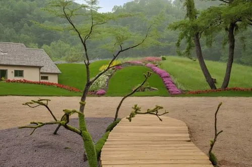 Sunrise and beautiful birds house and trees,a small wooden path in front of a grass covered home,nature garden,zen garden,home landscape,japanese zen garden,miniature house,hyang garden,Photography,Ge