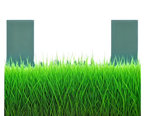 artificial grass,block of grass,quail grass,artificial turf,grass blades,grass,halm of grass,green grass,mobile video game vector background,grass golf ball,growth icon,grass grasses,long grass,blades of grass,grass fronds,wheat germ grass,blade of grass,golf course grass,background vector,dad grass,Art,Artistic Painting,Artistic Painting 51