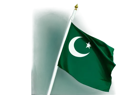 pakistan,pakistan pkr,national flag,pakistan salt,pakistani rupee,the national flower of pakistan,pakistani cuisine,hd flag,okara,country flag,muslim background,fir green,lahore,karakoram,green,bangladeshi taka,green started,green border,national emblem,national day,Illustration,Black and White,Black and White 10