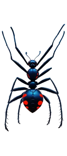 eega,auratus,lucanus,black crab,scarlet lily beetle,anansi,diadem spider,3d model,tarantula,fire beetle,bioluminescence,zygaena,redback,sapidus,black beetle,glossy black wood ant,webcrawler,black background,3d render,chitinous,Illustration,Realistic Fantasy,Realistic Fantasy 32