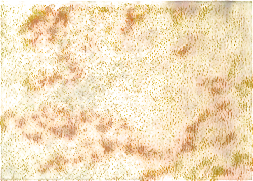 seamless texture,kngwarreye,speckling,petromatrix,puccinia,cytokeratin,globules,epidermidis,terrazzo,monolayer,textured background,brown mold,peroxidation,sackcloth textured background,marpat,xanthomonas,degenerative,background texture,nebulosity,generated,Photography,Black and white photography,Black and White Photography 10