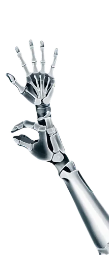 hand prosthesis,metacarpal,drill bit,scaphoid,speculum,medical instrument,artificial joint,handshake icon,cinema 4d,osseointegration,brachytherapy,orthopedics,the white torch,cryosurgery,hand draw vector arrows,handleman,touch screen hand,prosthesis,microinjection,biomechanical,Photography,Documentary Photography,Documentary Photography 29