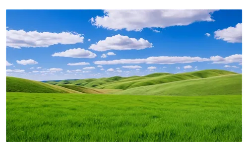 landscape background,nature background,green landscape,windows wallpaper,background view nature,green wallpaper,green background,grasslands,meadow landscape,grassland,background vector,3d background,spring background,green fields,golf course background,free background,nature wallpaper,virtual landscape,gras,green grass,Illustration,Japanese style,Japanese Style 21