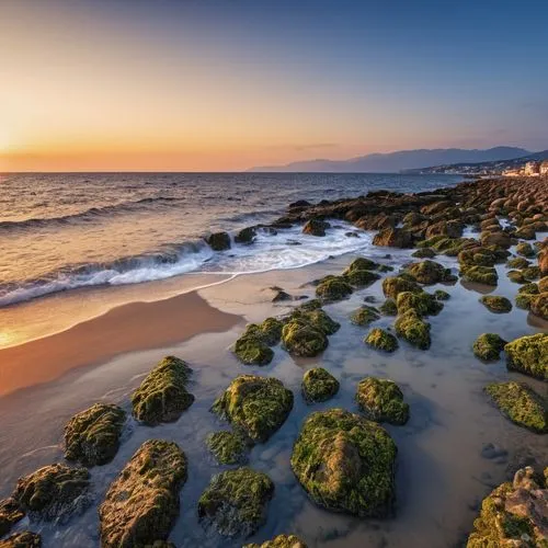 beach landscape,rocky beach,coastal landscape,santa barbara,beach scenery,rocky coast,Photography,General,Realistic