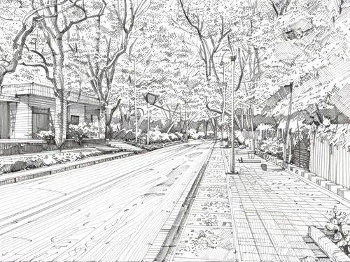 chestnut avenue,old linden alley,greystreet,white picket fence,maple road,old avenue,mono-line line art,street scene,palo alto,street plan,cherry blossom tree-lined avenue,coloring page,neighborhood,t