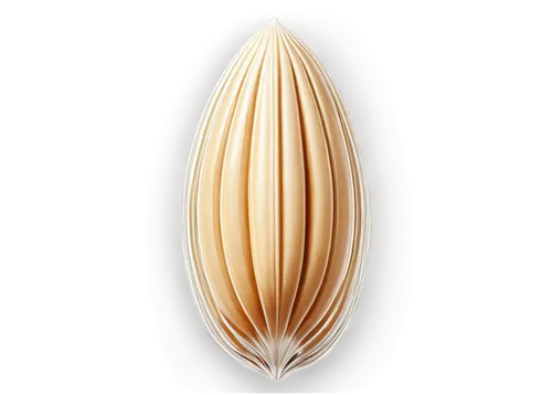 Transparent peanut, solo, detailed shell, smooth surface, creamy white interior, slight sheen, soft focus, warm lighting, shallow depth of field, 3/4 composition, still life, realistic texture.,surfbo