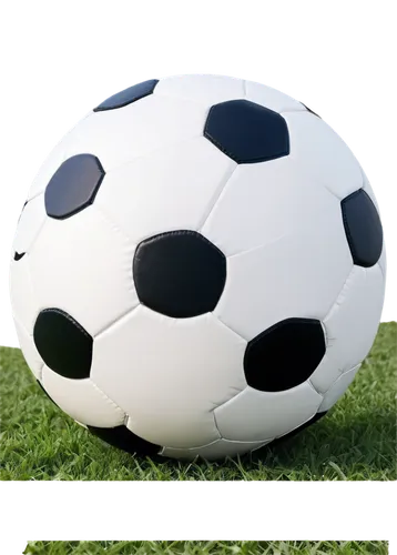 soccer ball,soccer,futbol,cerball,futebol,footballs,sports balls,fistball,calcio,the ball,myfootballclub,armillar ball,voetbal,children's soccer,fotbal,bolcina,ball cube,fussball,sepakbola,lens-style logo,Photography,Black and white photography,Black and White Photography 04