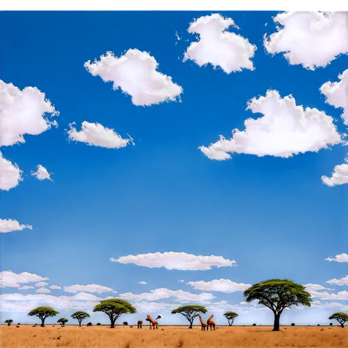 African savanna landscape, sunny day, acacia trees, baobab tree in center, giraffes roaming, zebras grazing, bright blue sky, fluffy white clouds, warm light, shallow depth of field, cinematic composi