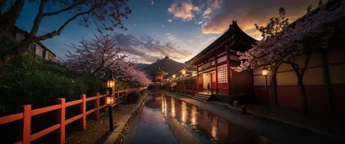 beautiful japan,japon,gion,japan landscape,jinhae,japanese sakura background