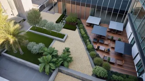 landscape design sydney,residencial,3d rendering,garden design sydney,penthouses,landscape designers sydney,Photography,General,Realistic