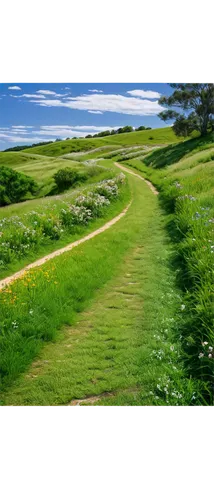 aaaa,pathway,golf landscape,greenways,golf course background,hiking path,the path,chemin,aaa,path,falsterbo,footpath,dornoch,green landscape,the mystical path,landscape background,meandering,cape cod,lihou,winding road,Photography,Black and white photography,Black and White Photography 04