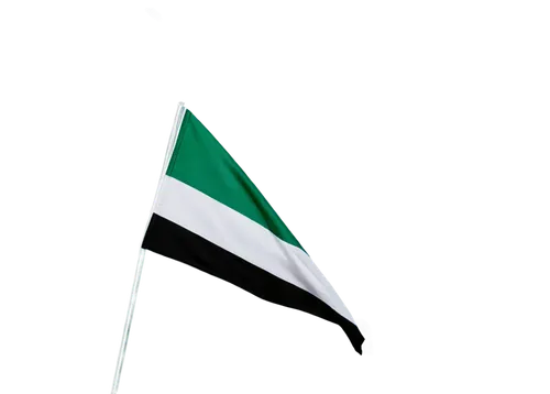 Palestinian flag, waving, horizontal, tricolor, black, white, green, triangular shape, embroidered edges, fabric texture, morning sunlight, soft focus, 3/4 composition, shallow depth of field, vibrant