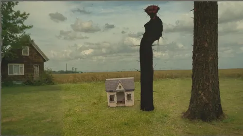 birdhouse,bird house,hanged man,telephone pole,witch house,birdhouses,stilts,woman hanging clothes,housetop,stilt,cd cover,outhouse,real-estate,scarecrows,clothesline,telephone poles,suitcase in field