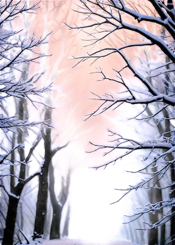 winter forest,winter background,ice rain,winter dream,snow trees,winterland,hiver,snowblind,winter landscape,copse,snowfalls,snow scene,foggy forest,winterreise,bare trees,snow landscape,treemsnow,snowfall,forest of dreams,snowy landscape,Conceptual Art,Sci-Fi,Sci-Fi 08