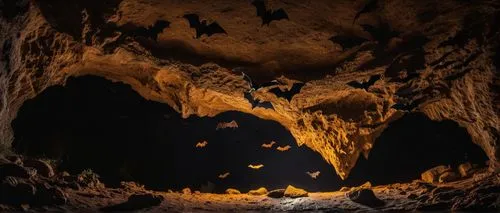 cave tour,the limestone cave entrance,lava tube,lava cave,cave,pit cave,caving,cave on the water,speleothem,al siq canyon,sea cave,cave church,pipistrelles,limestone arch,sea caves,the blue caves,blue cave,stalagmite,cabaneros national park,karst area,Photography,General,Fantasy