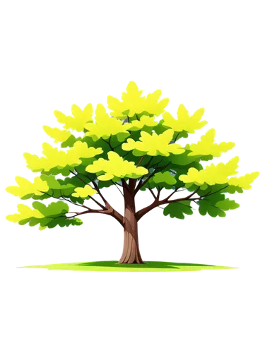 flourishing tree,patrol,aaa,defense,cleanup,aa,acacia,a tree,small tree,tree species,tree,arbor day,smaller tree,green tree,palm tree vector,tree slice,transparent background,tree die,tropical tree,cardstock tree,Illustration,American Style,American Style 05