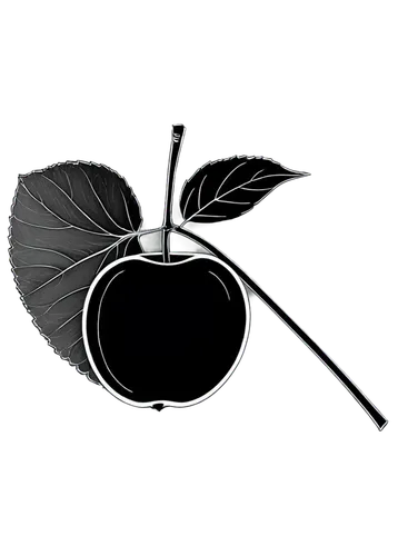 apple logo,apple icon,apple design,apple pie vector,apple monogram,core the apple,sleeping apple,apple,worm apple,apple world,garden logo,apple pi,rose sleeping apple,apple half,jew apple,bell apple,piece of apple,apple frame,eating apple,rose png,Illustration,Abstract Fantasy,Abstract Fantasy 02