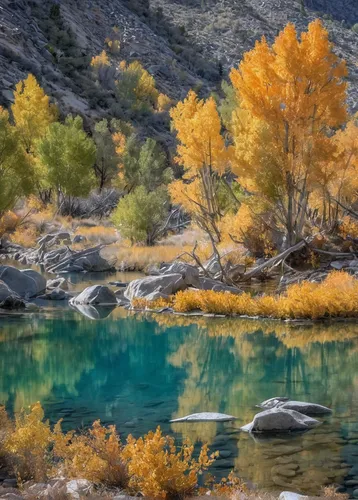 fall landscape,phoenix lake,nevada,paine national park,patagonia,golden autumn,autumn landscape,autumn mountains,autumn background,the trees in the fall,fall colors,colors of autumn,autumn colors,snake river lakes,river landscape,seton lake,acid lake,snake river,colorful water,mountain river,Photography,Artistic Photography,Artistic Photography 07