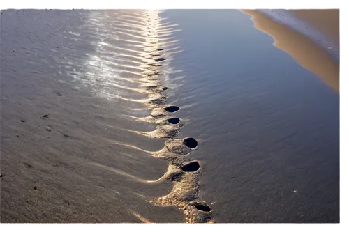 footprints,footprints in the sand,sand ripples,footprint,footsteps,footstep,bird footprints,footprint in the sand,traces,foot prints,baby footprints,tracks in the sand,imprints,ripple marks,foot print,animal tracks,sand paths,ripples,hoofprints,baby footprint in the sand,Illustration,Japanese style,Japanese Style 10