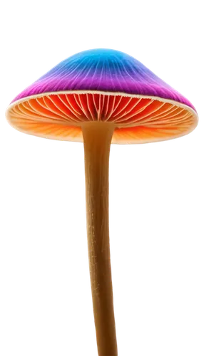 anti-cancer mushroom,mushroom type,forest mushroom,champignon mushroom,tree mushroom,agaric,mushroom,lingzhi mushroom,mushroom landscape,amanita,umbrella mushrooms,club mushroom,toadstool,mushroom hat,toadstools,agaricaceae,cubensis,yellow mushroom,blue mushroom,small mushroom,Conceptual Art,Oil color,Oil Color 16