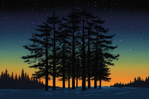 coniferous forest,spruce trees,spruce forest,spruce-fir forest,pine trees,christmas snowy background,temperate coniferous forest,fir trees,larch forests,winter background,background vector,fir forest,christmas landscape,evergreen trees,coniferous,dusk background,winter forest,silvertip fir,landscape background,forest background,Illustration,American Style,American Style 06