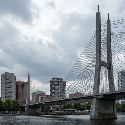 cable-stayed bridge,zakim,anzac bridge,rainbow bridge,calatrava,rotterdamsche,rotterdam,mytishchi,portland,memorial bridge,pont,riga,hanging bridge,warszawa,frankfurt am main germany,skybridge,bridgepoint,madero,suspension bridge,eastbridge