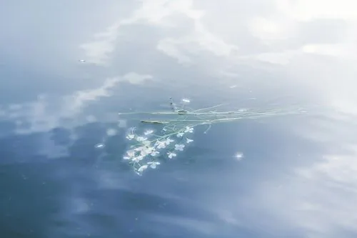 constellation swordfish,thatgamecompany,ikaruga,flightpath,contrail,skyflower,flying sparks,dandelion flying,vapor trail,oceanair,overflight,lightcraft,overfly,sailplanes,ucav,volumetric,floating over lake,flanker,pleiades,flyby