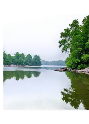 potomac river,river landscape,riparian zone,raven river,eastern mangroves,aaa,state park,background view nature,herman national park,riparian forest,oxbow lake,river of life project,lake monroe,landscape background,aa,natural reserve,boats and boating--equipment and supplies,freshwater marsh,green trees with water,eastern black walnut,Illustration,Retro,Retro 02