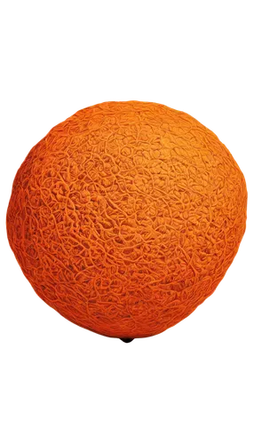 muskmelon,mitochondrion,spheroidal,egg,orange,ovule,ellipsoids,organelle,ellipsoid,orangi,large egg,egg shell,isolated product image,calabaza,spheroids,kacang,half orange,acridine orange,vesicle,mitochondria,Illustration,Black and White,Black and White 28