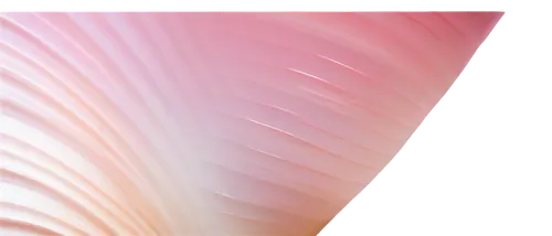 gradient mesh,pastel wallpaper,deformations,abstract background,zigzag background,generative,pink paper,background abstract,wavevector,gradient effect,abstract air backdrop,pink vector,tulip background,abstract design,extruded,glsl,spiral background,palm leaf,opalescent,pink tulip,Photography,Artistic Photography,Artistic Photography 06