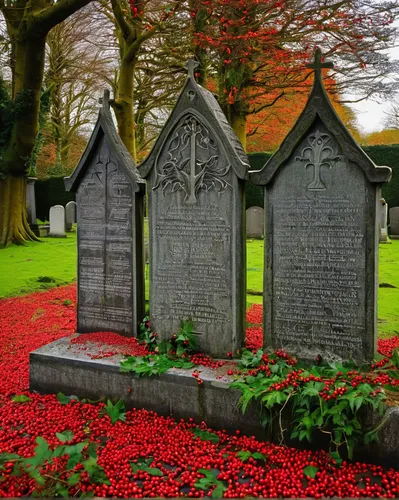 Depict a hauntingly beautiful graveyard adorned with red berries on each tombstone.,war graves,military cemetery,gravestones,grave stones,central cemetery,veteranenfriedhof,soldier's grave,grave arran