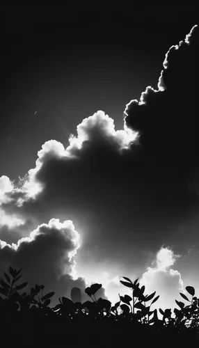 blackandwhitephotography,monochrome photography,cloudscape,cloud image,cloud play,cloud formation,skyscape,dark cloud,silhouette against the sky,black landscape,against sky,cloud shape,cloud shape frame,sillhouette,about clouds,black and white photo,clouds,dramatic sky,clouded sky,cloudy sky,Illustration,Black and White,Black and White 33