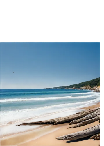 Realistic sea landscape, calm waves, clear blue water, sandy beach, rocky shores, driftwood, seagulls flying overhead, sunny day, soft warm lighting, panoramic view, shallow depth of field, natural co