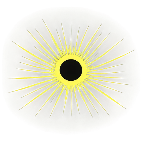 sunburst background,sun eye,solar plexus chakra,3-fold sun,solar eclipse,sunstar,reverse sun,sun,magnetic field,aperture,circular star shield,black hole,sun head,sun flower,solar flare,egg sunny-side up,sunny-side-up,helianthus sunbelievable,sunny side up,total eclipse,Photography,Documentary Photography,Documentary Photography 24