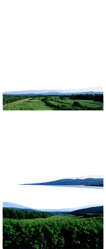 virtual landscape,view panorama landscape,panoramic landscape,film strip,landscape background,landscapes,panorama of the landscape,rolling hills,360 ° panorama,panorama-like,farmland,grain field panorama,panoramical,taunus,film frames,backgrounds,digital compositing,filmstrip,mountain ranges from rio grande do sul,high landscape,Art,Artistic Painting,Artistic Painting 23