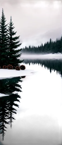 forest lake,evening lake,a small lake,water scape,waterscape,opeongo,alpine lake,mountainlake,lake,spruce forest,swampy landscape,calm water,winter lake,wet lake,small landscape,pond,mountain lake,landscape background,pine trees,derivable,Photography,Documentary Photography,Documentary Photography 17