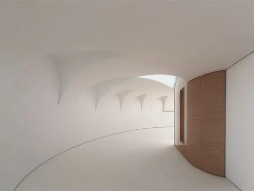 vaulted ceiling,daylighting,hallway space,vaulted cellar,wall tunnel,archidaily,white room,recessed,concrete ceiling,ceiling ventilation,hallway,corridor,convex,guggenheim museum,whitespace,ceiling co