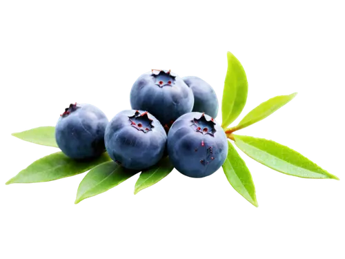 Blueberries, ripe, juicy, small, round, plump, sweet, shiny skin, green calyx, stem attached, morning dew, soft natural light, macro shot, shallow depth of field, warm color tone, cinematic compositio