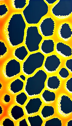 honeycomb structure,trypophobia,building honeycomb,honeycomb grid,lemon pattern,fruit pattern,honeycomb,dot pattern,polka dot pattern,turtle pattern,tessellation,hexagons,pineapple pattern,cell structure,coral-spot,whirlpool pattern,hexagonal,cellular,patterned,lattice,Photography,Documentary Photography,Documentary Photography 37