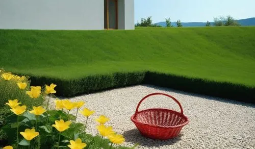 golf lawn,artificial grass,green lawn,grass golf ball,lawn,grass roof,block of grass,quail grass,bentgrass,boxwood,green grass,zoysia,landscaped,meadow fescue,turfgrass,planter,buxus,garden pot,watering can,robotic lawnmower,Photography,General,Realistic