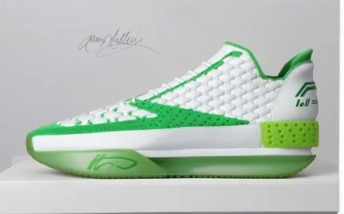 greenshoe,basketball shoes,lebron james shoes,kyrie,kds,kleiza,Conceptual Art,Fantasy,Fantasy 01