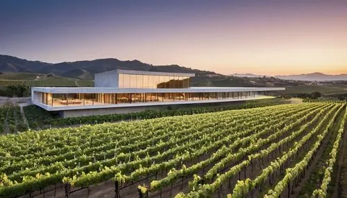 tokara,antinori,mondavi,wine country,yountville,stellenbosch,southern wine route,wineland,passion vines,napa valley,franschhoek,vineyards,wine house,vinyard,winegrowers,wine growing,wine region,winery,wine boxes,vineyard,Photography,General,Realistic