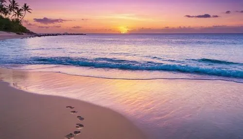 footprints in the sand,sunrise beach,beautiful beaches,dream beach,hawaii,beautiful beach,Photography,General,Realistic