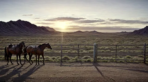  western wood

,wild horses,cowboy silhouettes,wild west,man and horses,western pleasure,western riding,endurance riding,horseback riding,beautiful horses,western,horses,horseback,mesquite flats,two-h