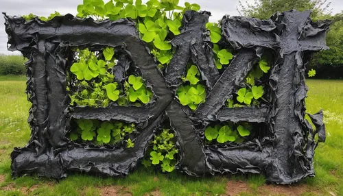 Write a humorous dialogue between two friends trying to pronounce the name 'oxalis deppei iron cross'.,ivy frame,letter e,yard art,wooden letters,axe,steel sculpture,ebay,enz,fen,garden sculpture,effi